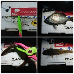 大小堪能できました